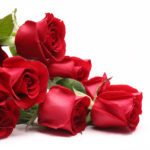 １２本のバラに込められた願いをダーズンローズに。花嫁にサプライズ演出も！