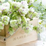 【ブライダルのこと】ハーブメインのブーケ