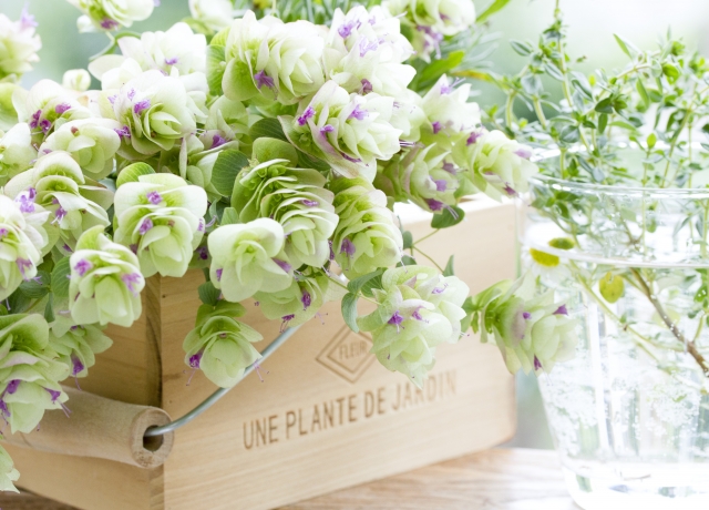 【ブライダルのこと】ハーブメインのブーケ