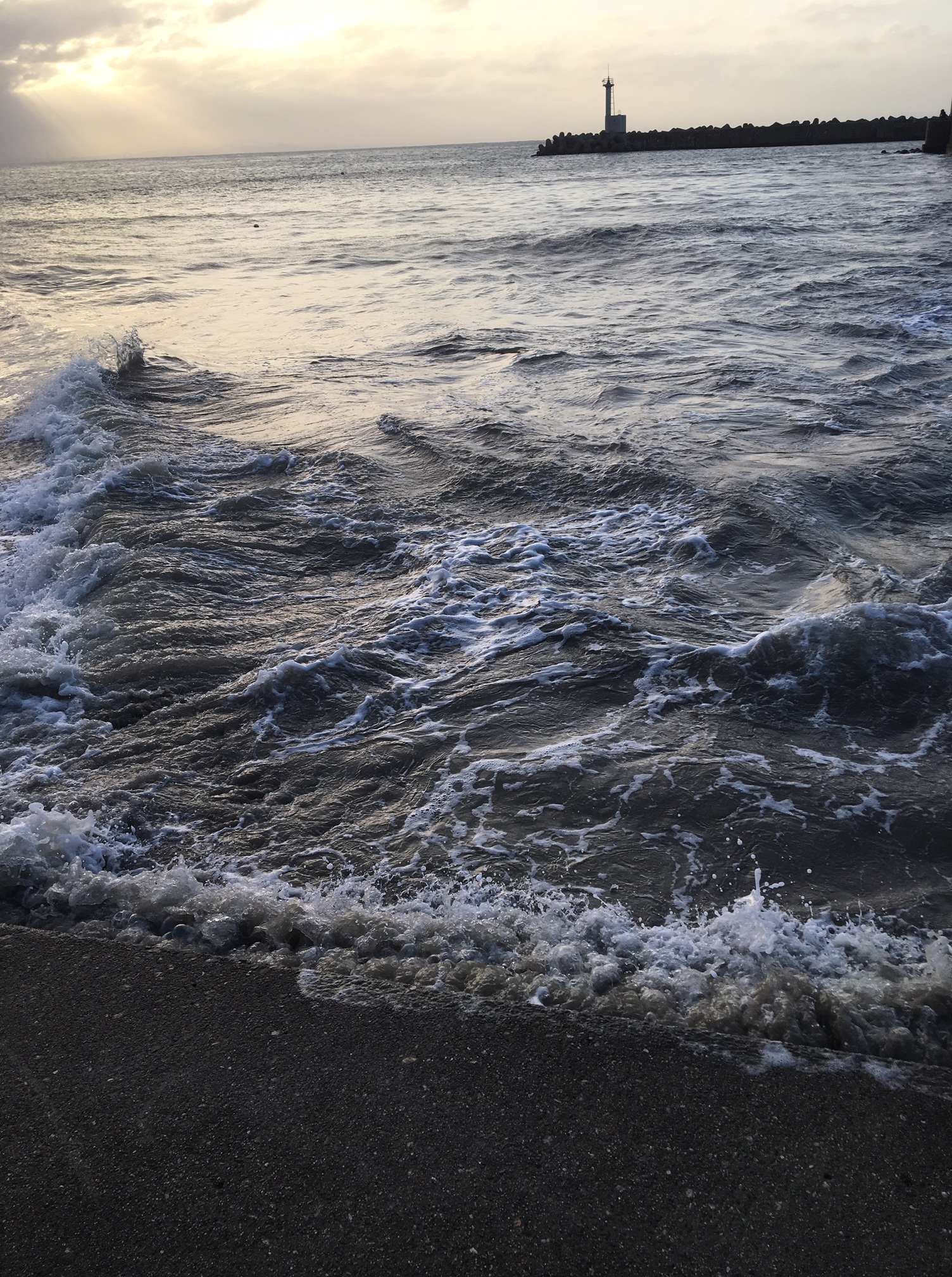 【日々のこと】季節はずれの海に行ってきました