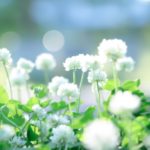 【仕事と日々】「とにかく行動してみたら結果が変わる」を実感しました