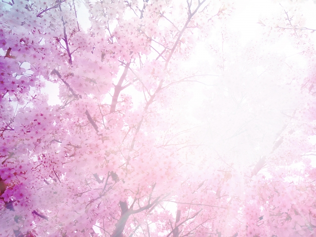 【仕事のこと】3月の別れ