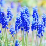 【日々のこと】少しでも日常を取り戻したい（＾ー＾）