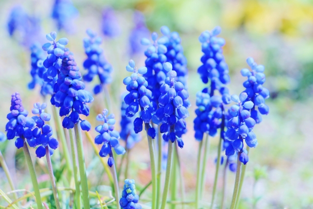 【日々のこと】少しでも日常を取り戻したい（＾ー＾）