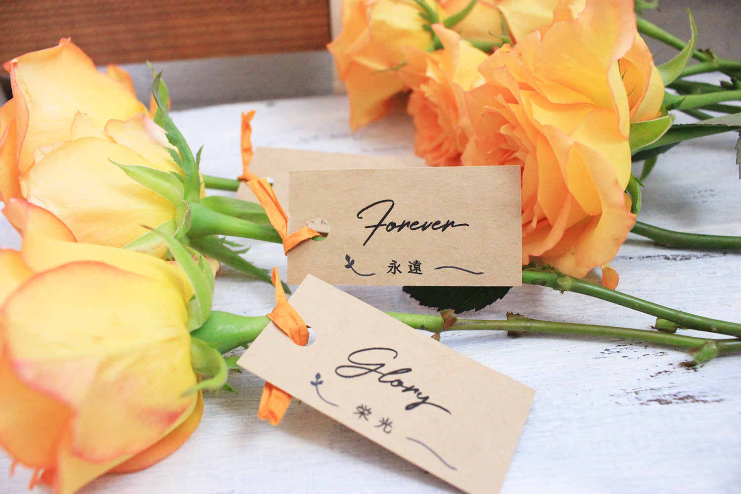 ダーズンロースタグの使用イメージ画像作りました