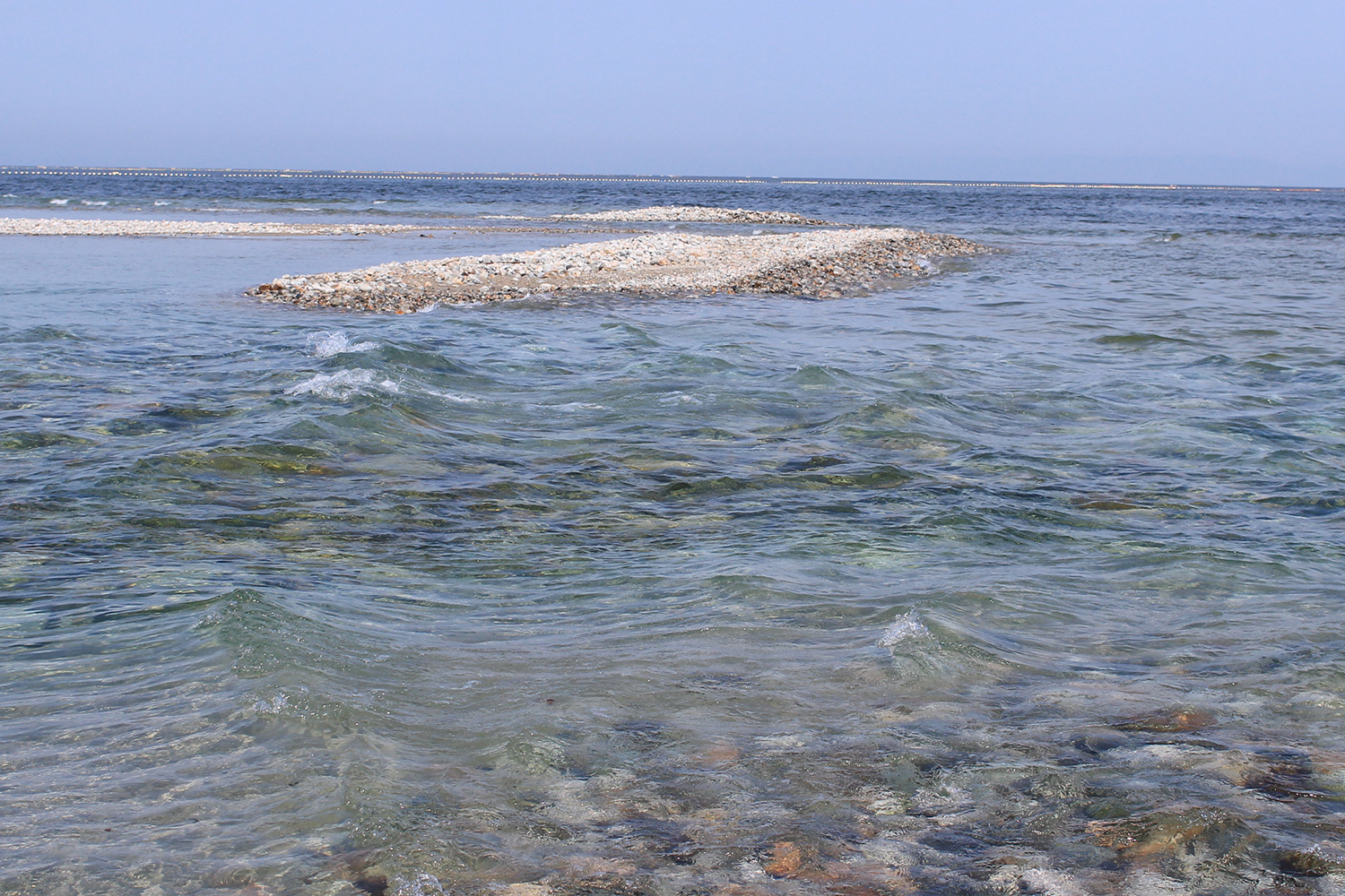 流木のセカンドキャリア