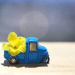 ダウンロード版、テンプレートの購入の仕方のご紹介です