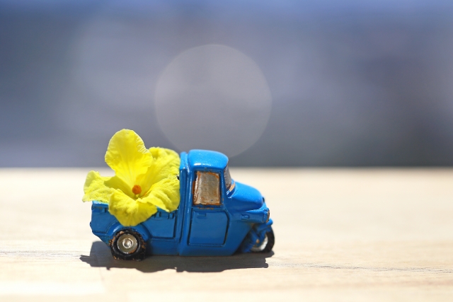 ダウンロード版、テンプレートの購入の仕方のご紹介です